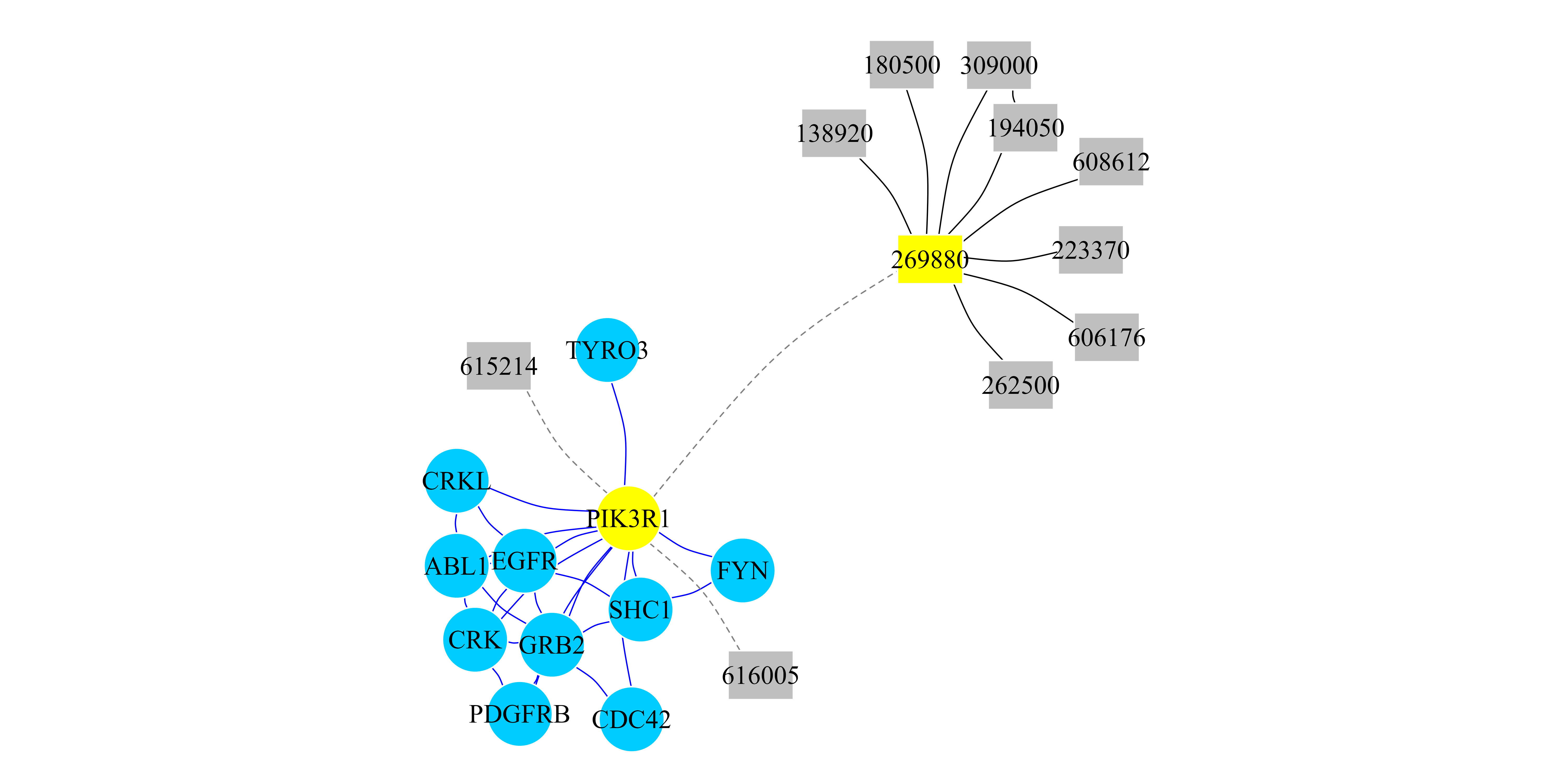 Figure 2: RWR-H on a heterogeneous PPI-Disease Network. Network representation of the top 10 ranked genes and the top 10 ranked diseases when the RWR-H algorithm is executed using the PIK3R1 gene and the SHORT syndrome disease (MIM code: 269880) as seeds (yellow nodes). Circular nodes represent genes and rectangular nodes show diseases. Blue edges are PPI interactions and black edges are similarity links between diseases. Dashed edges are the bipartite gene-disease associations.